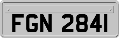 FGN2841
