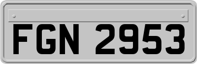 FGN2953