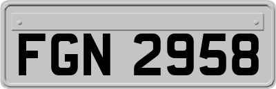 FGN2958