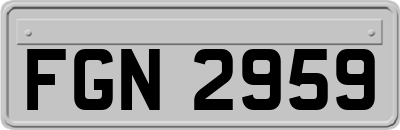 FGN2959