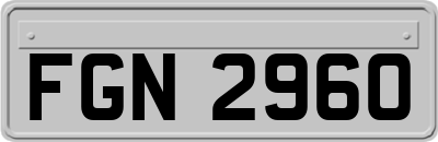 FGN2960