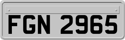 FGN2965