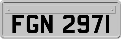 FGN2971