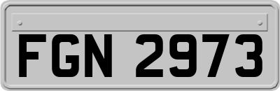 FGN2973