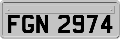 FGN2974