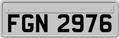 FGN2976