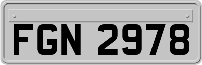 FGN2978