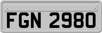 FGN2980