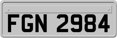 FGN2984