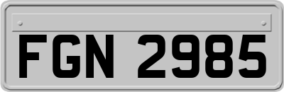 FGN2985