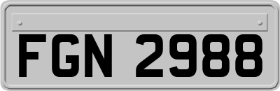 FGN2988