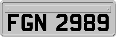 FGN2989