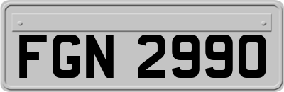FGN2990