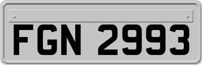 FGN2993