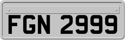 FGN2999
