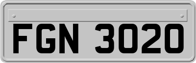 FGN3020