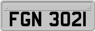 FGN3021