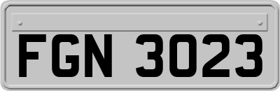 FGN3023