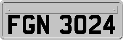 FGN3024