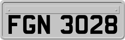 FGN3028