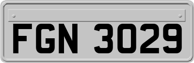 FGN3029