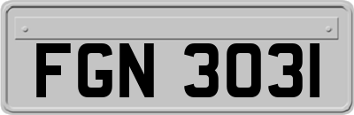 FGN3031