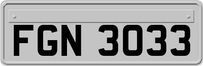FGN3033
