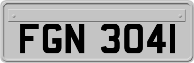 FGN3041