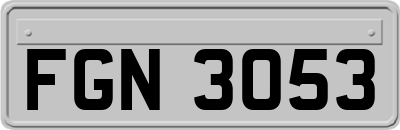 FGN3053