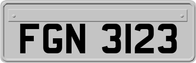 FGN3123