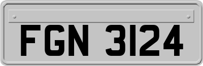 FGN3124