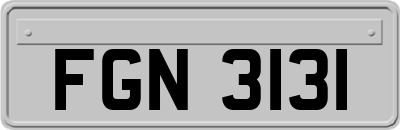 FGN3131