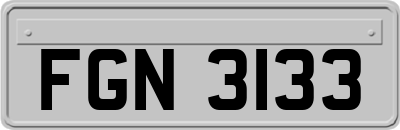 FGN3133