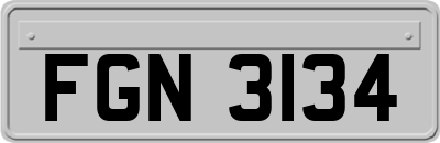 FGN3134