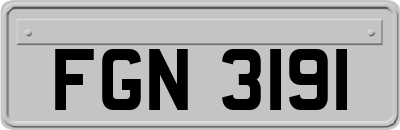 FGN3191