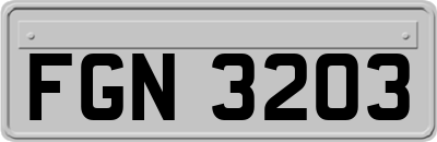 FGN3203