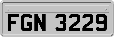 FGN3229