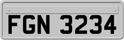 FGN3234