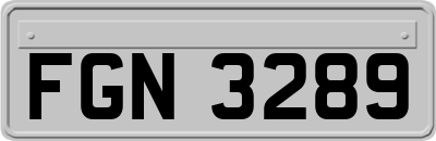 FGN3289