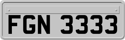 FGN3333