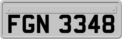 FGN3348