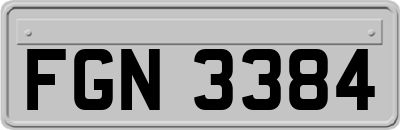 FGN3384