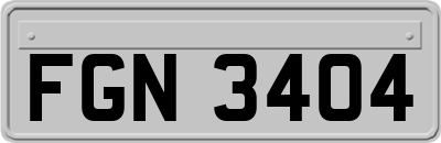 FGN3404