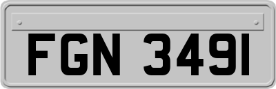 FGN3491