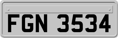 FGN3534