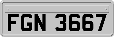 FGN3667