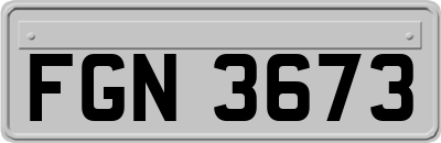 FGN3673