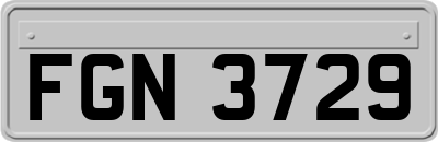 FGN3729