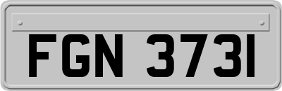 FGN3731