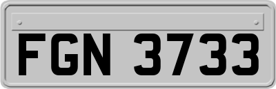 FGN3733
